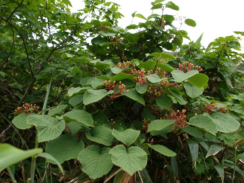 b0108186_00384.jpg