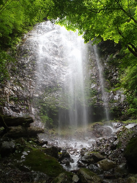 c0147398_10551389.jpg
