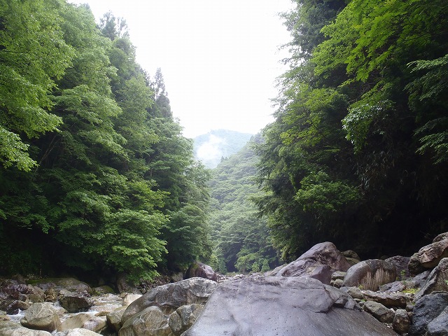 c0147398_10595875.jpg