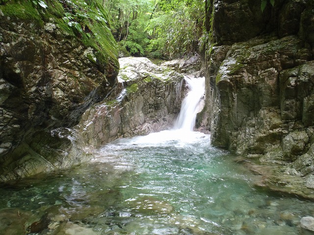 c0147398_1103860.jpg