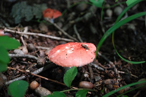 c0124100_021512.jpg