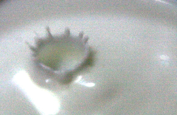 f0218109_0221796.jpg