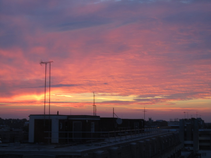 a0132911_16471855.jpg