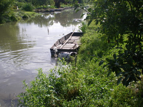 c0124619_7593665.jpg