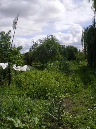 c0124619_881934.jpg