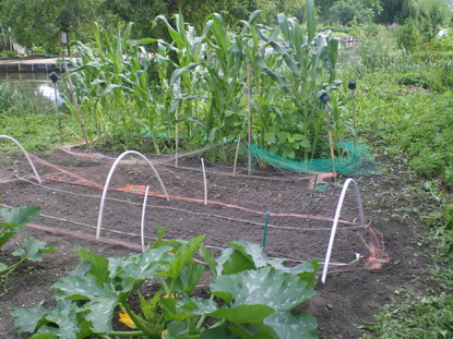 c0124619_892297.jpg