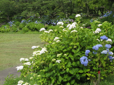b0147224_2212366.jpg