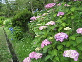 b0147224_223221.jpg