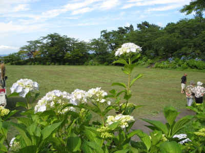 b0147224_224769.jpg