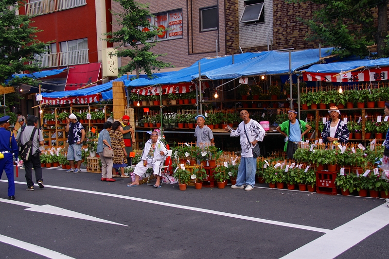 初夏の風物詩　入谷朝顔市_f0229832_1131883.jpg