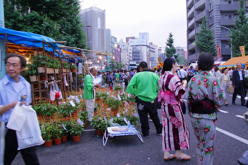 f0229832_117683.jpg