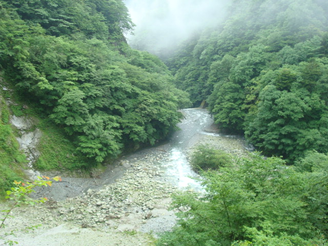 a0048040_8342079.jpg
