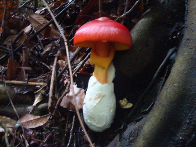 a0048040_836139.jpg