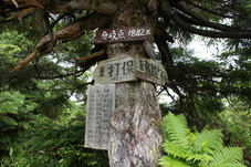 e0189446_22464142.jpg