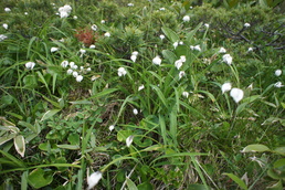 e0189446_22534360.jpg