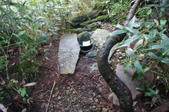 e0189446_23181481.jpg
