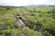 e0189446_23311257.jpg