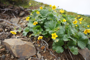 e0189446_2335081.jpg