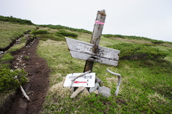 e0189446_23384327.jpg
