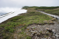 e0189446_2340582.jpg