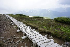 e0189446_23465573.jpg