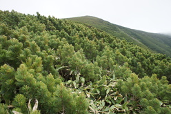 e0189446_23535385.jpg