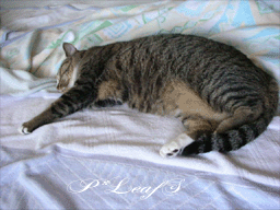 c0176651_23264076.gif