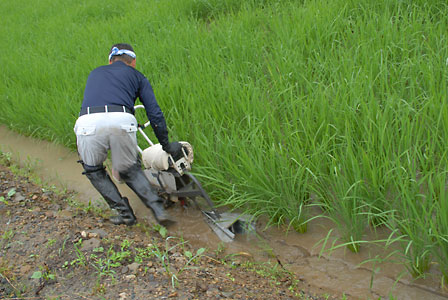 c0145453_1611116.jpg