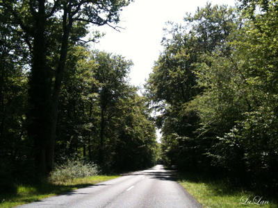 d0141376_18255396.jpg