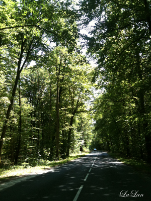 d0141376_18265666.jpg
