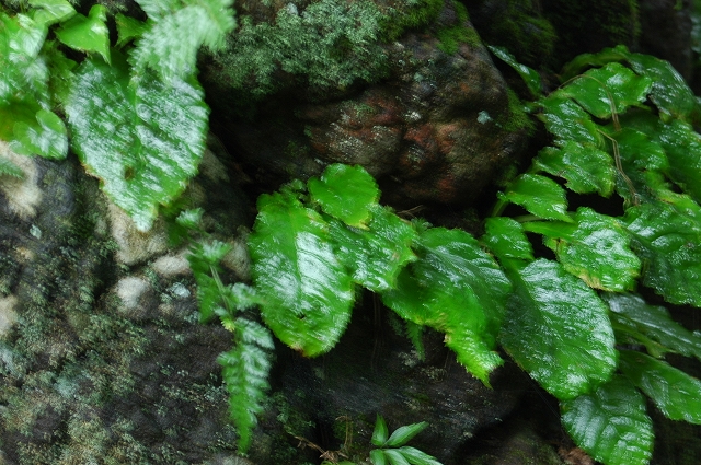 c0212083_10335185.jpg