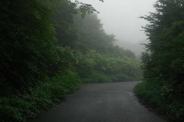 c0212083_1040461.jpg