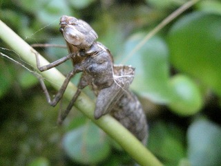 f0234087_2250123.jpg