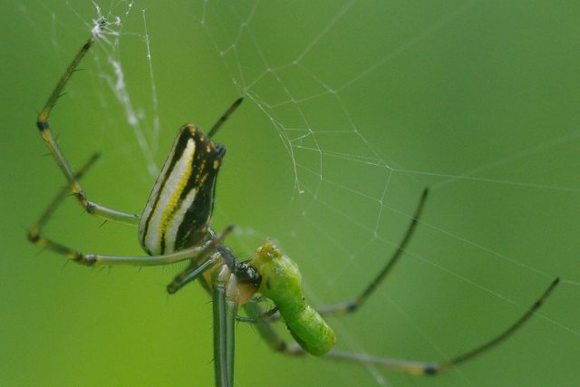 e0070891_20121126.jpg