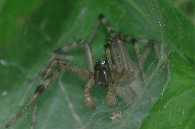 e0070891_20161471.jpg