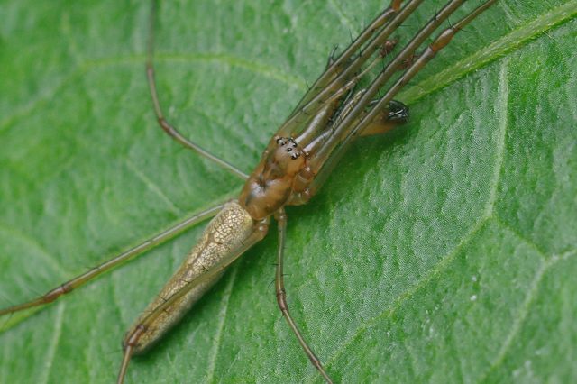 e0070891_2083563.jpg