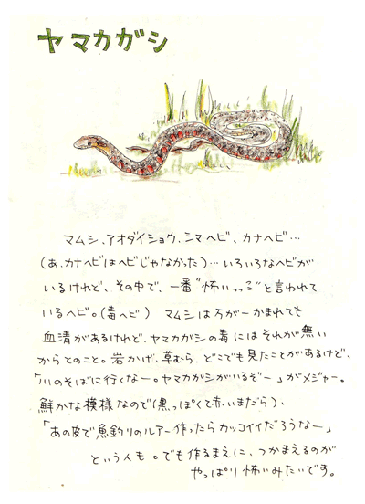 ヤマカガシ 怖い 農家の嫁の事件簿 ぷらす ヤマカガシ 怖い 農家の嫁の事件簿 ぷらす