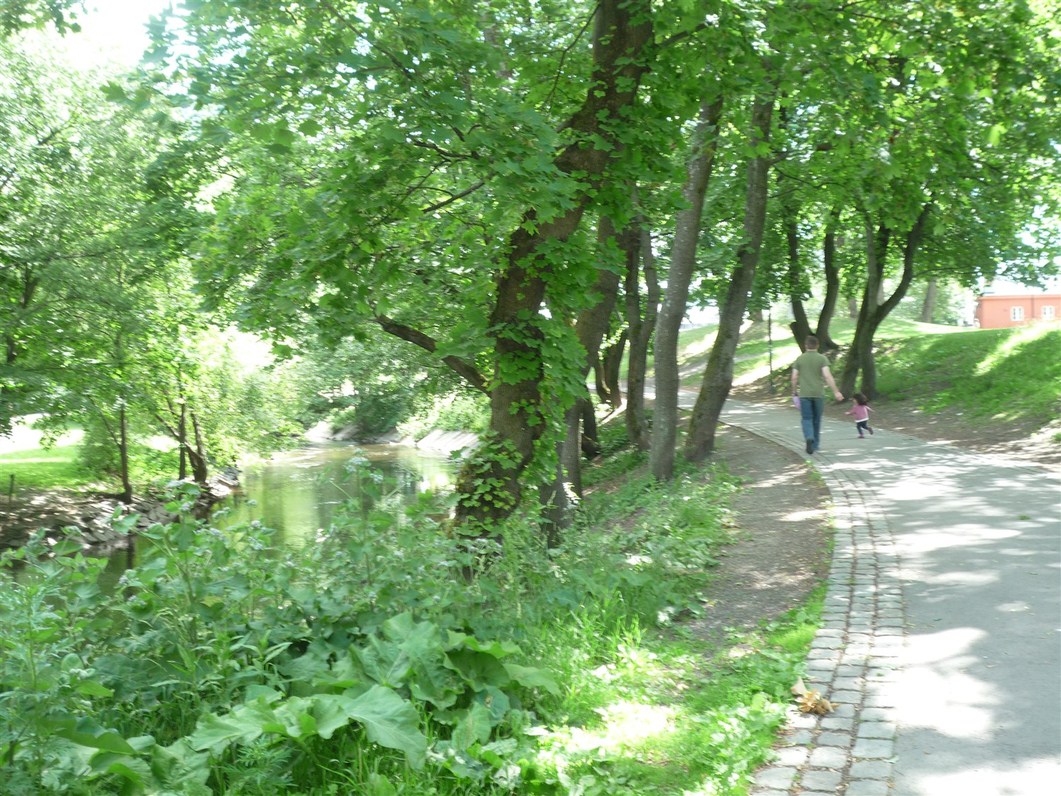 d0182292_4563675.jpg