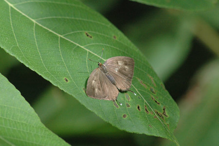 c0049095_19343867.jpg