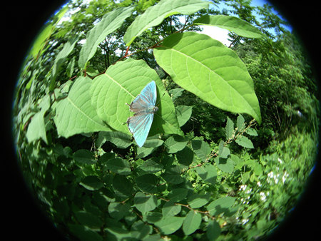 c0049095_19351488.jpg