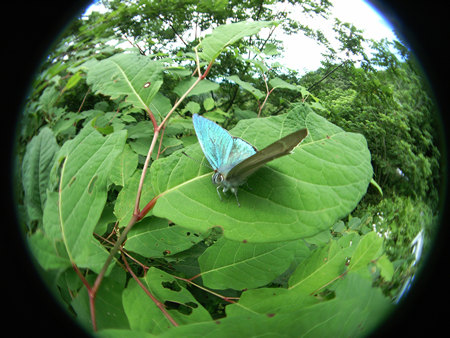 c0049095_1935416.jpg