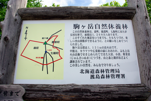 d0138899_1943016.jpg