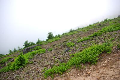 d0138899_2012959.jpg