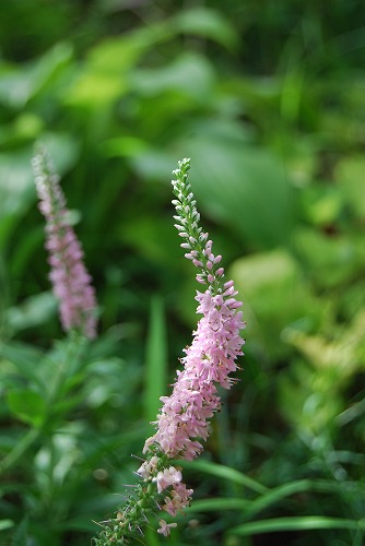 c0124100_23371661.jpg