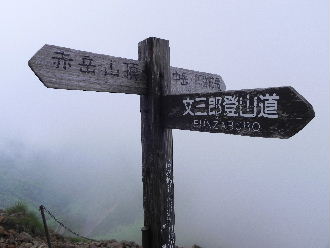 a0158702_15325430.jpg