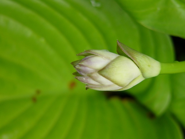 a0123003_18287100.jpg