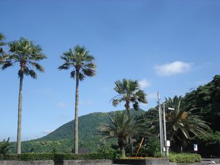 b0148106_8272063.jpg