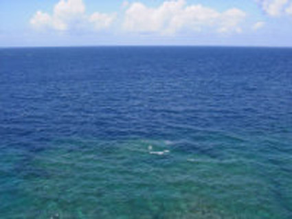 c0177910_1504083.jpg