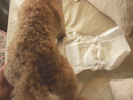 c0132714_20103095.jpg