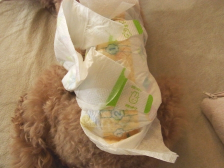 c0132714_20125720.jpg